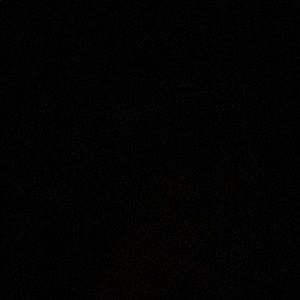 Meet your Posher, Bob